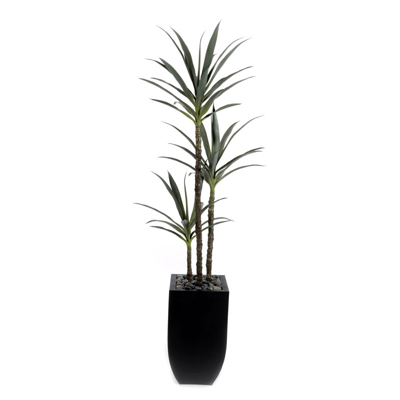 71"H  Artifical Yucca Tree with Pebbles in Black Tin Planter, 71" H x 26" W x 22" D
