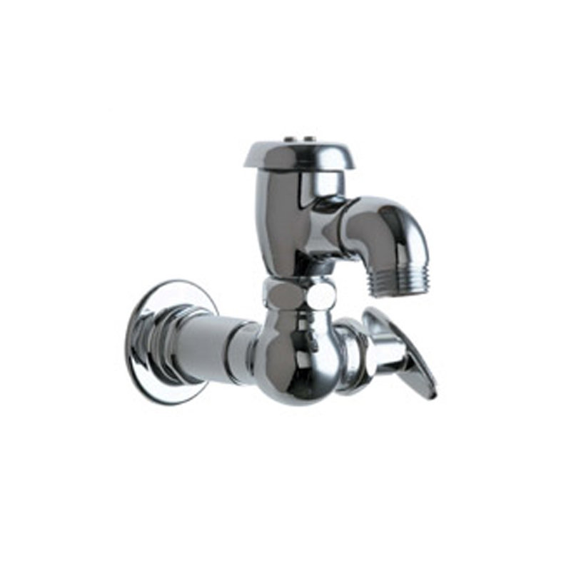 Wall Mount Garage Faucet