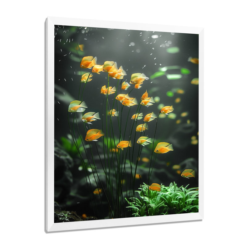 Aquariums - Aquariums muraux jaunes et verts, H 12 po x l 20 po, Cadre simple blanc, bois massif