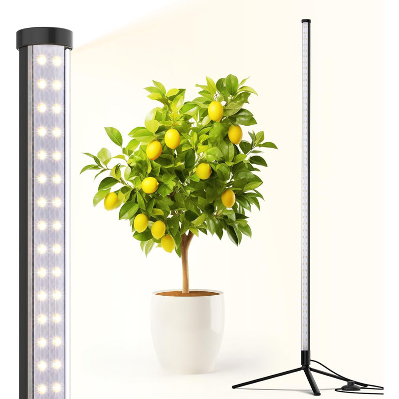 Barrina T10 Standing Grow Light , Full Spectrum, 42w 5000k,  Vertical Grow Light, 4ft Height With On/off Switch