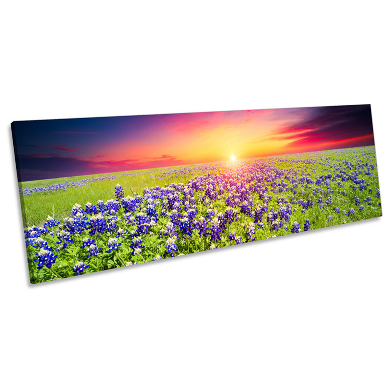 Flowers Landscape Sunset Floral by Unknow - Wrapped Canvas Panoramic Print, 30.48cm H x 91.44cm W x 2cm D