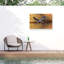 Ardea Cinerea sur toile par Assaf Gavra-1752933714