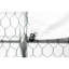 Spacieux enclos pour poulets 10 x 6 x 6 pi - cage en métal pour le confort de vos poulets 10 * 6 * 6 pi