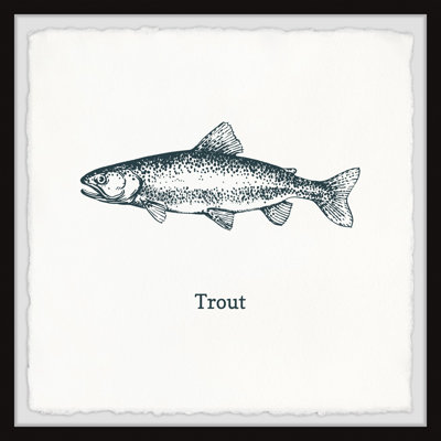 Trout And Tuna Triptych A - 24X24