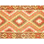 Nedjalko Southwestern Area Rug in Multi Red