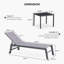PURPLE LEAF Ensemble de 2 chaises longues d'extérieur en aluminium avec roulettes et table d'appoint pour piscine-1543509109