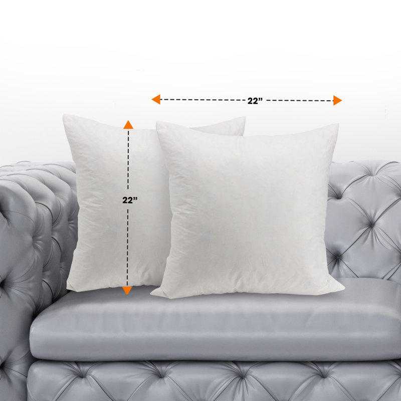 Feather Pillow Insert, 22" x 22"