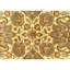 Hand Knotted Wool Oriental Area Rug in Gold And Ivory