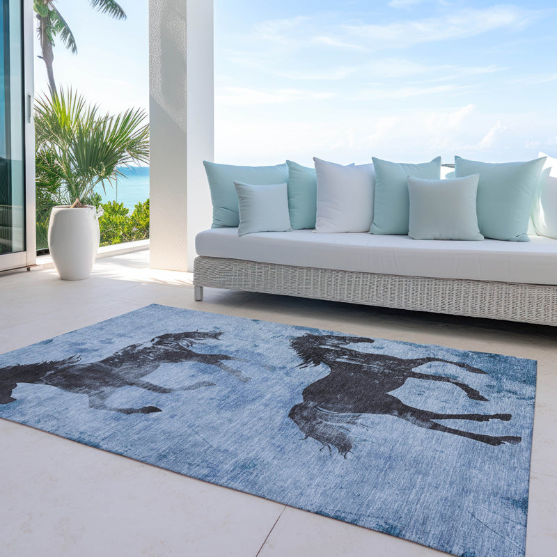 Tapis intérieur / extérieur lavable en machine Cinead ACN1717, Rectangulaire 3 pi x 5 pi