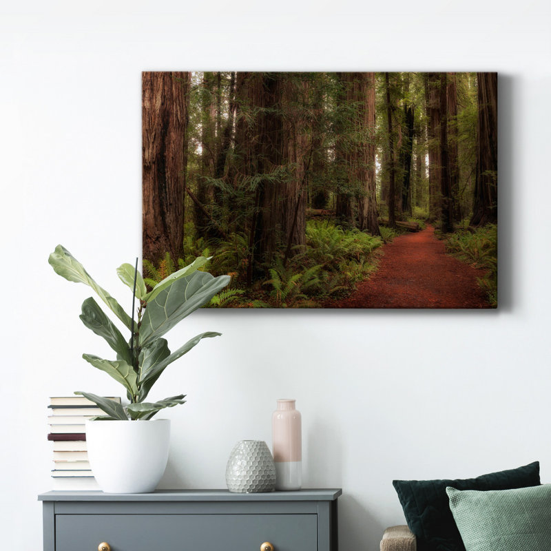 A Walk In The Woods I - Impression sur toile tendue, H 36 po x l 24 po x P 1 po
