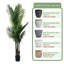 Pots de plantes ronds avec plateau en forme de palmier artificiel de type B et résine-549042962-549042960