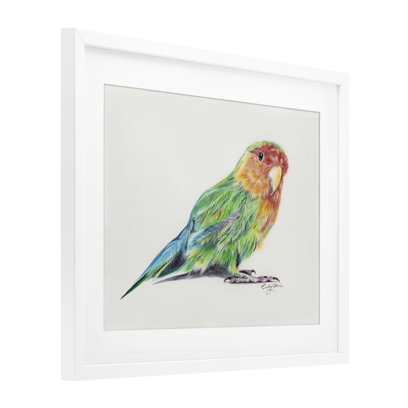 «Rainbow Gradient Parakeet», reproduction encadrée sous verre, conception de Cady, H 17 po x l 21 po, Cadre blanc côtier