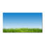 Loehrke 50cm W x 100cm L Glass Peel and Stick Panel