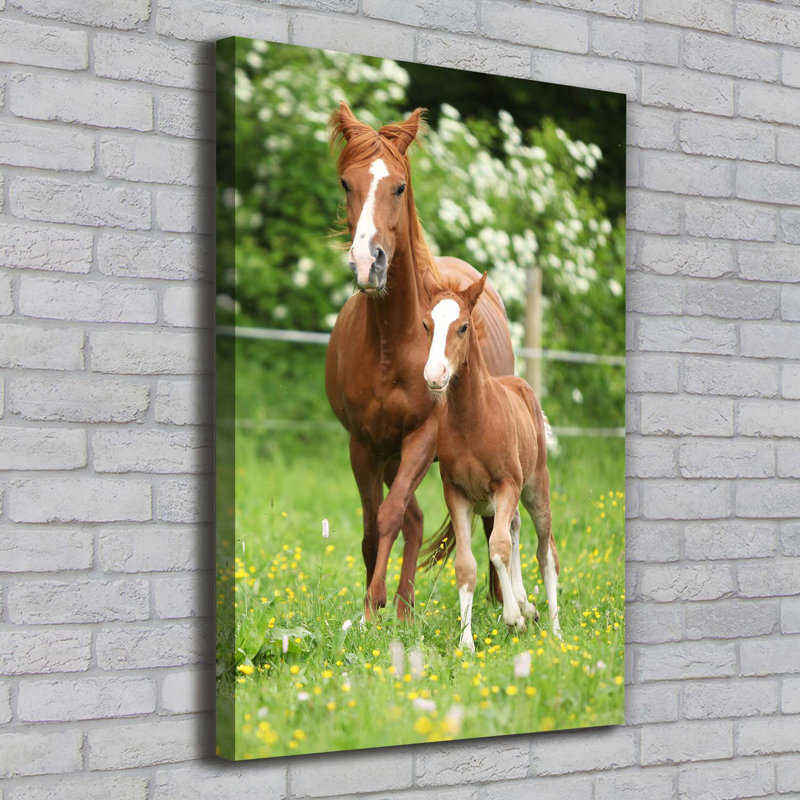 Mare And Foal - Wrapped Canvas Print