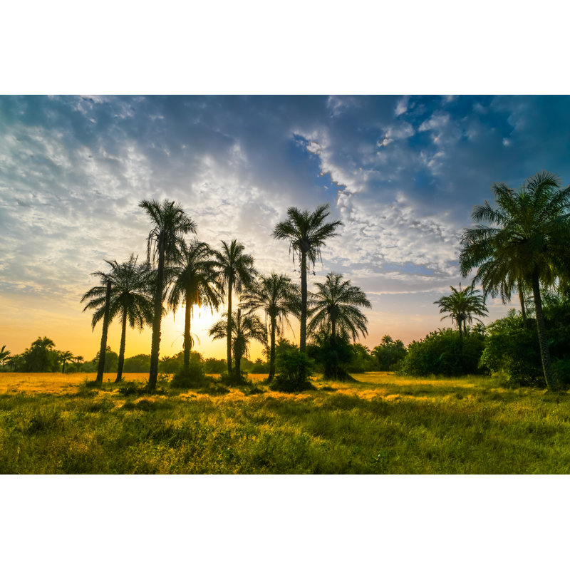 Tropical Sunrise by JooCalvet - Wrapped Canvas Print, 20cm H x 30cm W