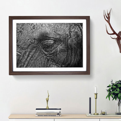 Elephant - Picture Frame Graphic Art Print