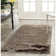 Cimah Shag Hand Tufted Performance Solid Color Rug