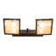Rustic Lodge 2 - Light Vanity Light