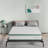 Novilla 12'' Medium Hybrid Mattress-2072102991-2041207055