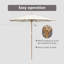 Market Parasol-625002078-625002076