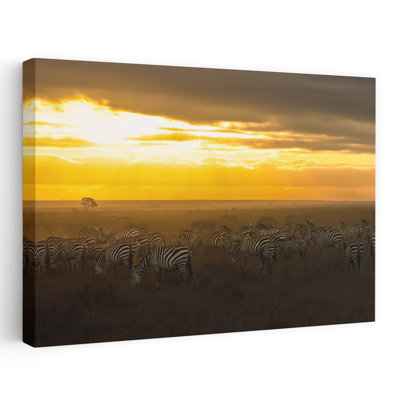 Golden Sunset Zebras Abstract Contemporary Zebra Landscape Nature Wall Art Print 1 Piece Wrapped Canvas Wall Art