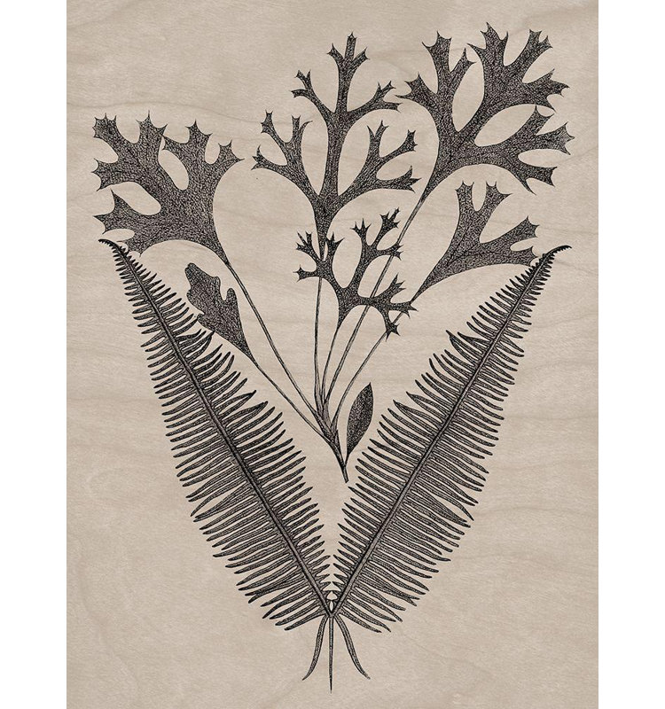 Art sur toile tendue Red Barrel Studio® Vision Studio Gallery: Eloquent Leaves IV, H 47 po x l 36 po
