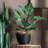 63cm Faux Foliage Tree in Pot