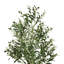 Arbre en pot 60 po Faux Olive