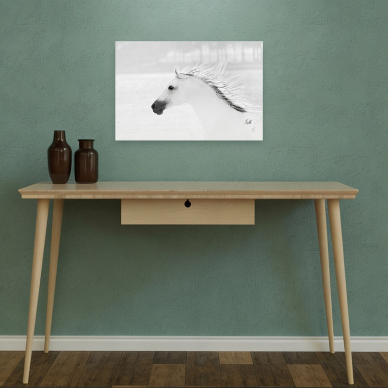 Print, 30.48cm H x 45.72cm W