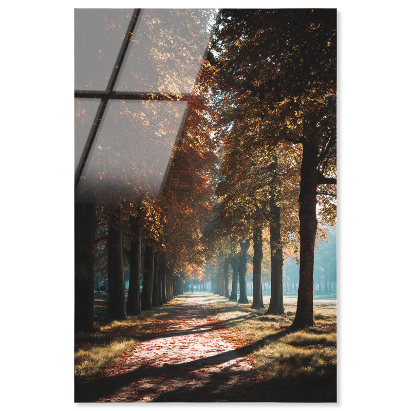 Golden Path I Acrylic Print Vintage Wall Decor by Art Remedy, Ready to Hang, 24 x 36, 36"H x 24"W
