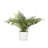 14.45 " H Faux Fern Plant in Porcelain Pot