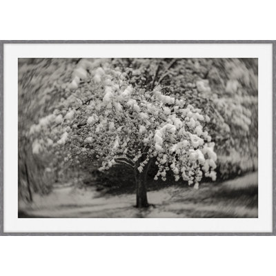 Small Kingdoms 1 Print by Ralph Mercer