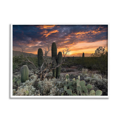 Cactus aride du désert au coucher du soleil par Nathan Larson - photographie sur bois