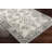 Aldusa Oriental Indoor Rug-853962119