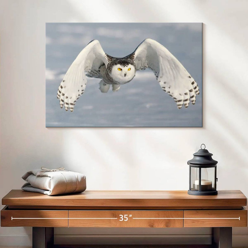 Brampt Owl In Winter, 16" H x 24" W