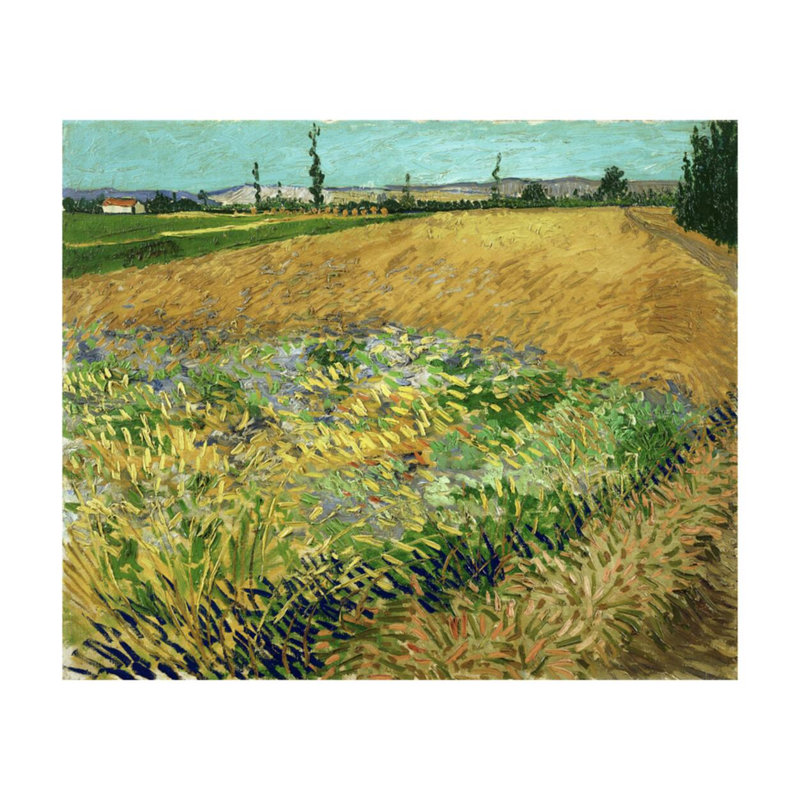 «Wheatfield» par Vincent van Gogh - estampe numérique, H 16 po x l 20 po