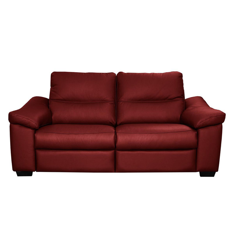 Edeltrudis Genuine Leather 2 Seater Reclining Sofa, Red, 100cm H x 175cm W x 95cm D
