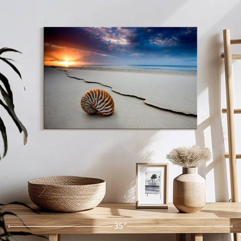 Fraser island beach shell Aletra, H 32 po x l 48 po
