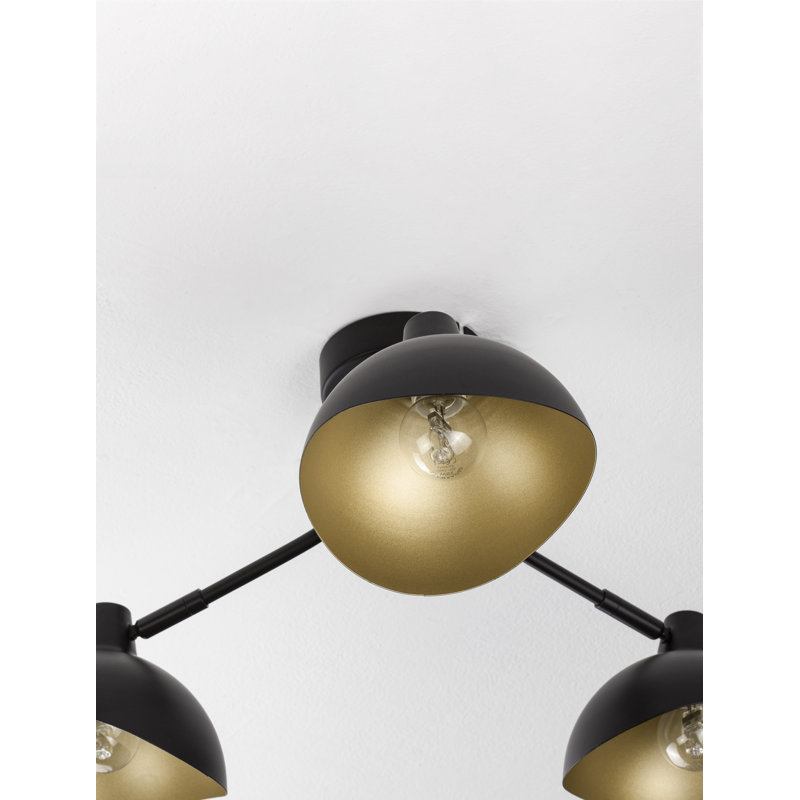 Desautels Spotlight