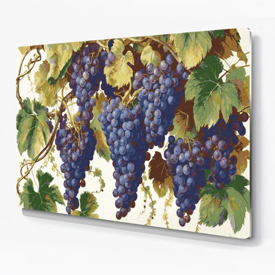 Fruit Grape Delaware Purple Metal Wall Art