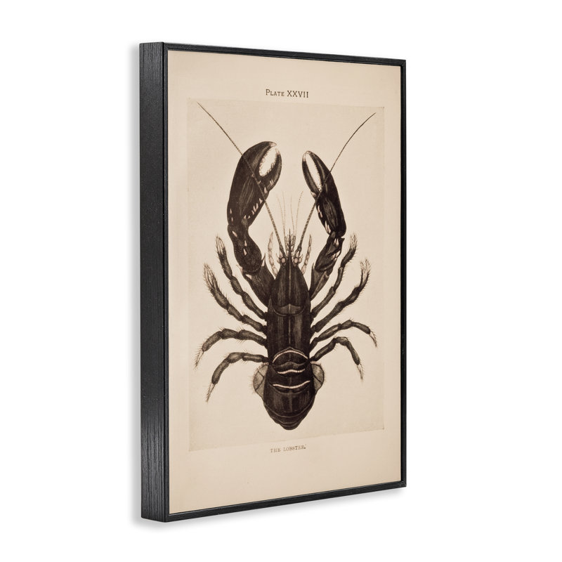 Estampe numérique à homard rétro, conception par Deborah Revell, H 18 po x l 12 po, Giclée encadrée noir minuit