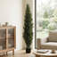 Faux Cypress Tree Plant in Cement Freestanding  Planter-454320982