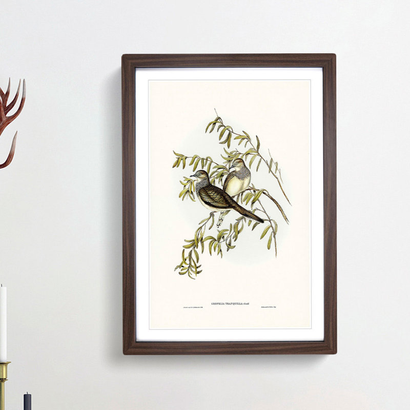 Peaceful Ground Doves by Elizabeth Gould - Framed Print, Walnut Framed, 48cm H x 36cm W x 2cm D