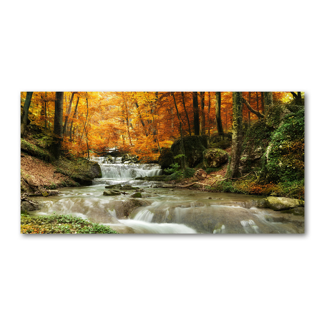 Glasbild Wasserfall im Wald