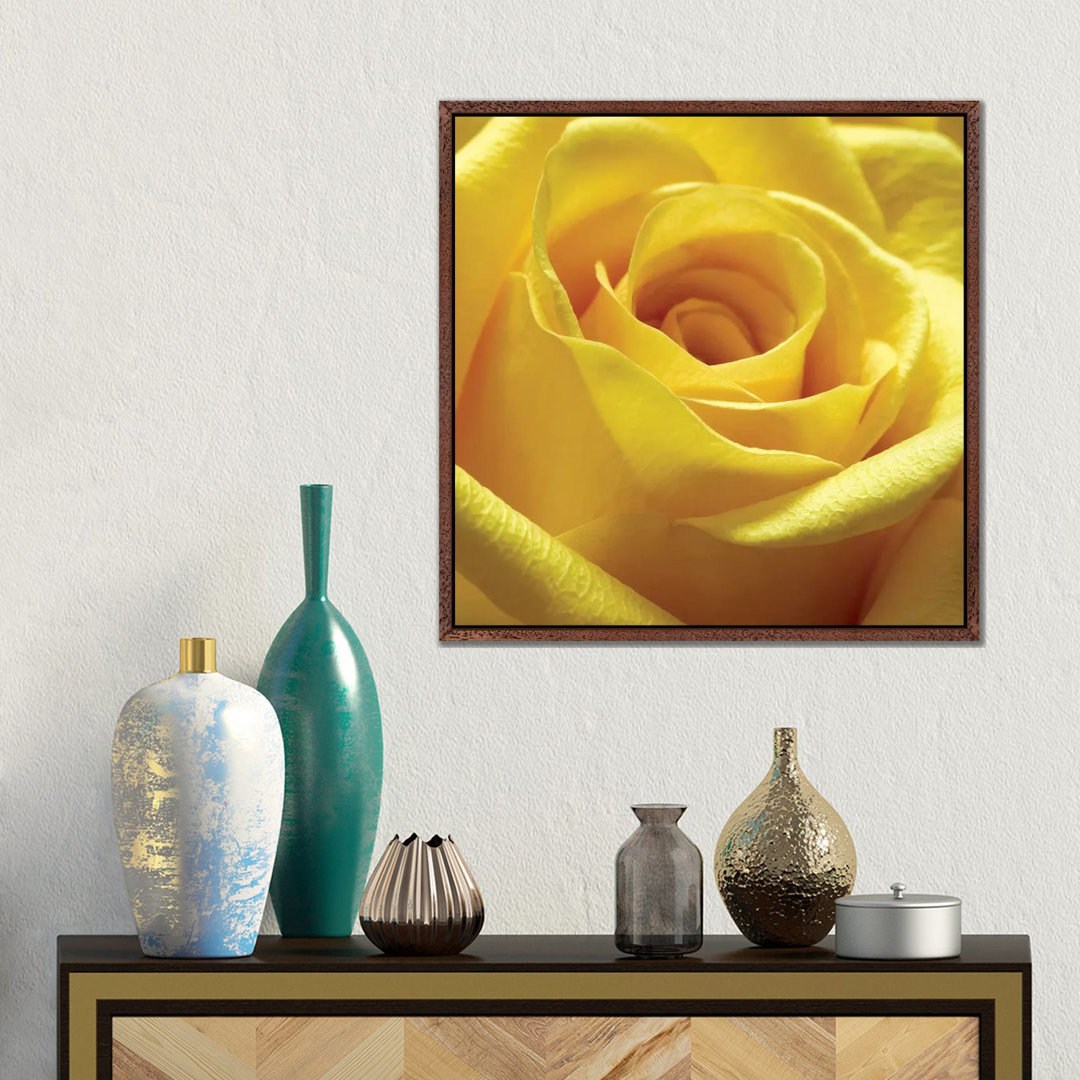 Gelbe Rose von PhotoINC Studio - Floater Frame Gallery-Wrapped Canvas Giclée on Canvas