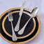 Butterfly 20 Piece 18/10 Stainless Steel Flatware Set, Service for 4-49240797