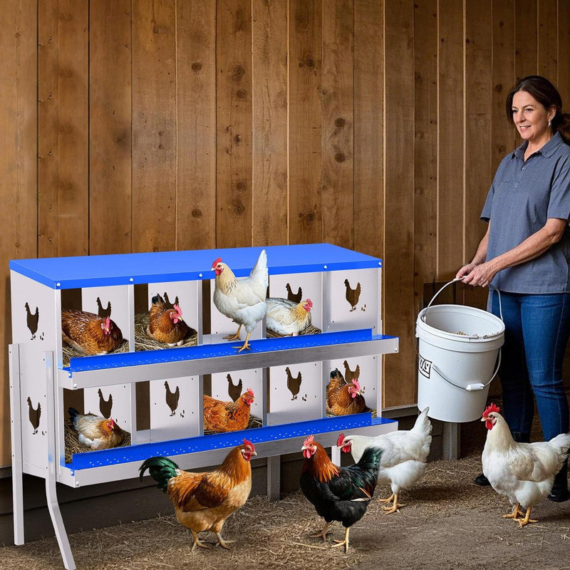 Boîte de nidification pour poulets avec plateau amovible - boîtes en métal pour poules - conception escamotable des œufs, collecteur d'œufs frais de ferme fixé au mur, boîtes de perchoir pour poulaillers