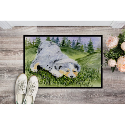 Stoystown Non-Slip Indoor Doormat