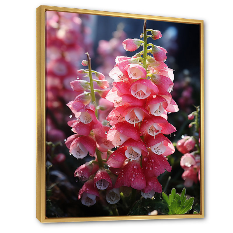 Lolmaugh Meadow Foxglove Fantasy II, H 20 po x l 12 po x P 1 po, Cadre flottant doré