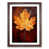 Walnut Framed selected